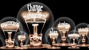 Organizational Change Management (OCM) vs. Project Management