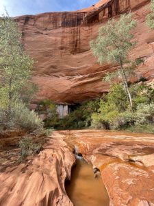 What Coyote Gulch Taught Me About Cybersecurity and Trust