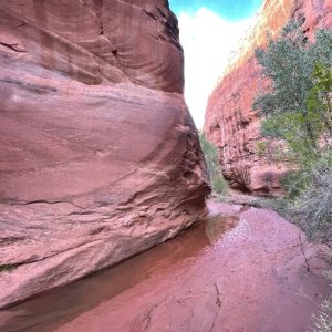 What Coyote Gulch Taught Me About Cybersecurity and Trust
